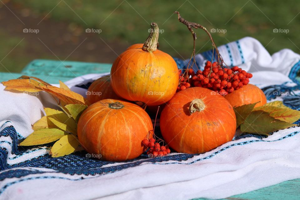 осенний натюрморт