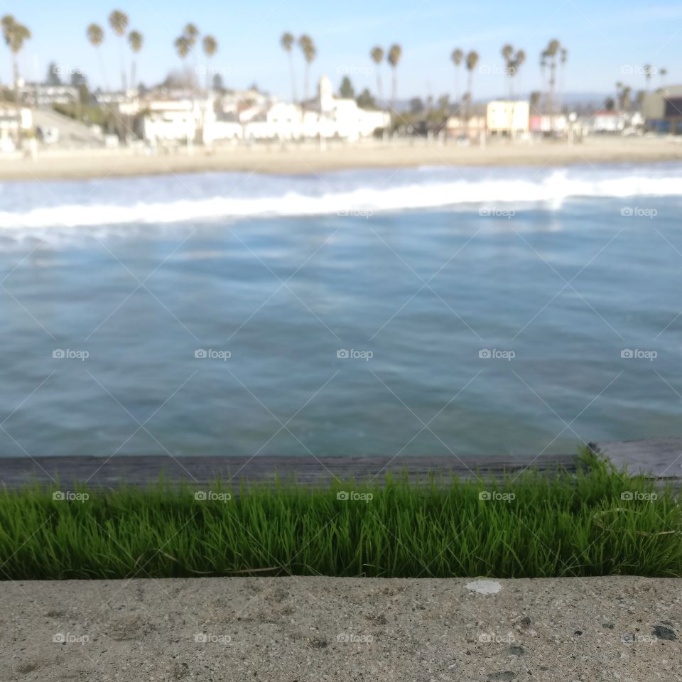 Santa Cruz Boardwalk 