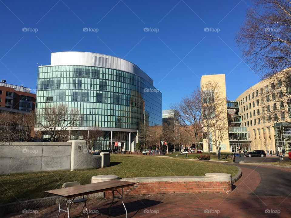 Northeastern University in Boston