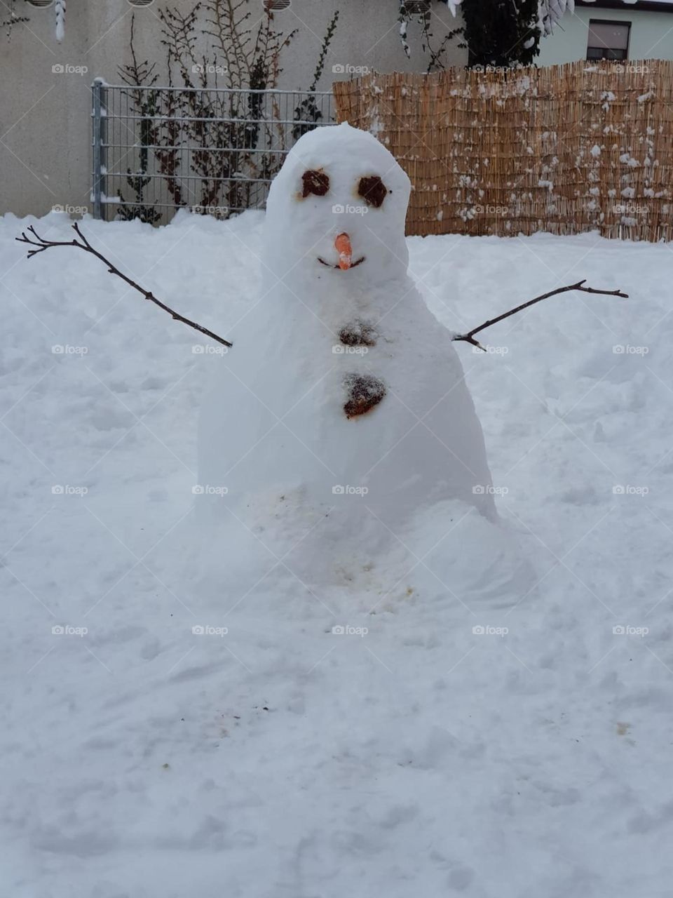 Mr. Frosty Snow