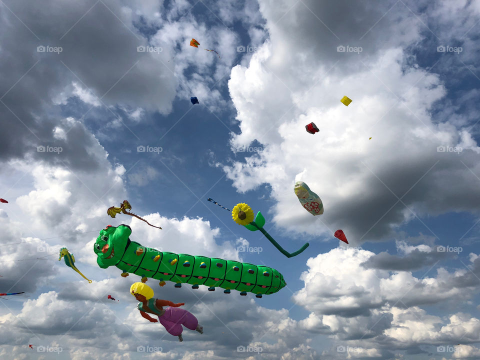 Festival of flying kites