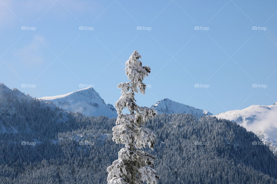 My Washington covered with snow