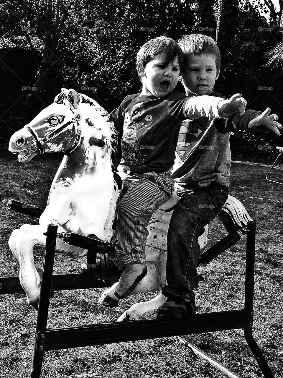 Two brothers on a rocking horse