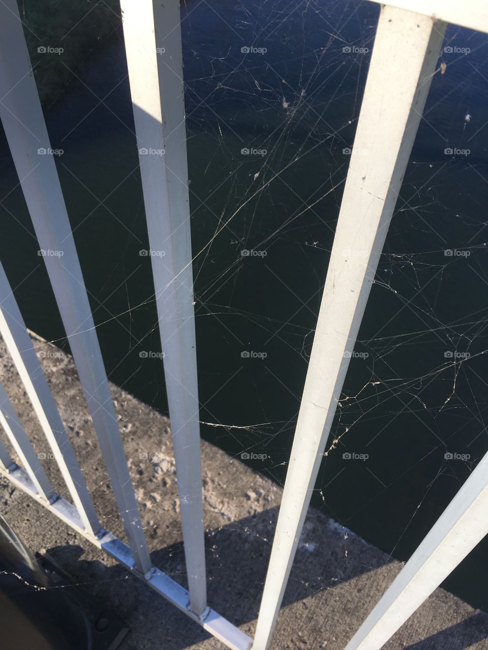 Spider Gate