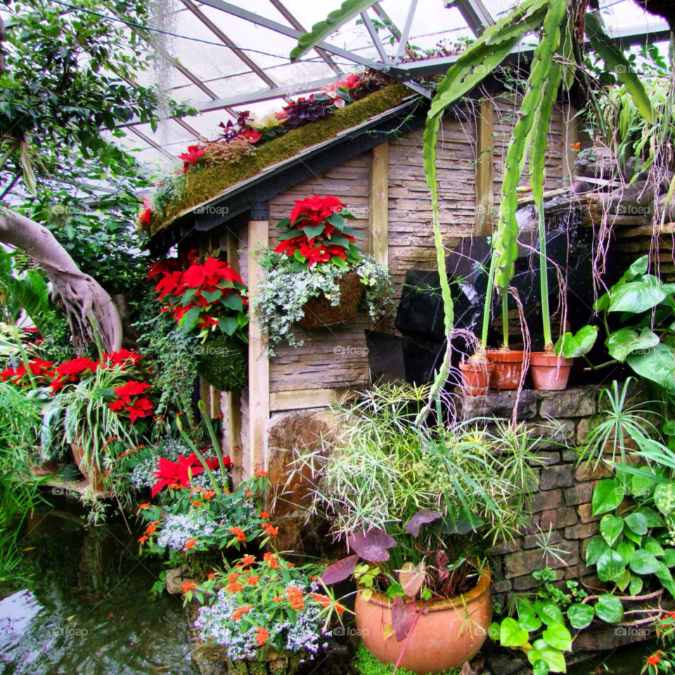 green flowers garden red by byg