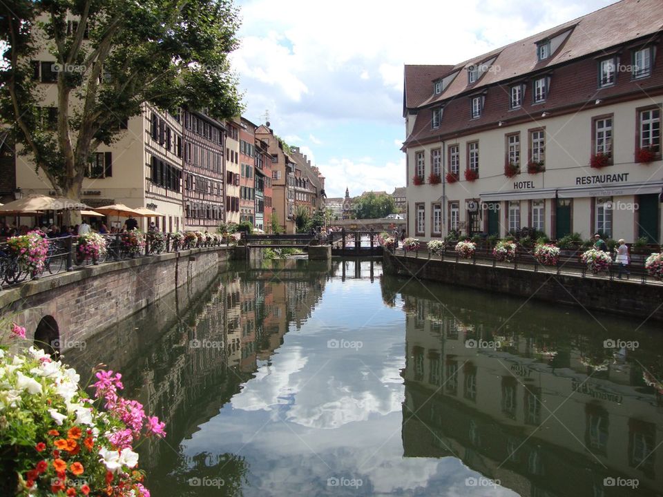 Strasbourg Summer Reflections