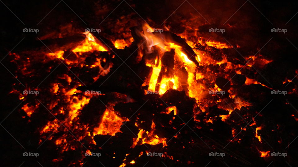 burning wood . holi