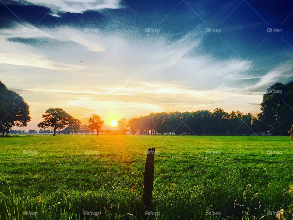 Sunrise or sunset in a blue and white sky over the trees lined behind a fresh green Meadow or farmfield showing the post and barbed wire of the fence