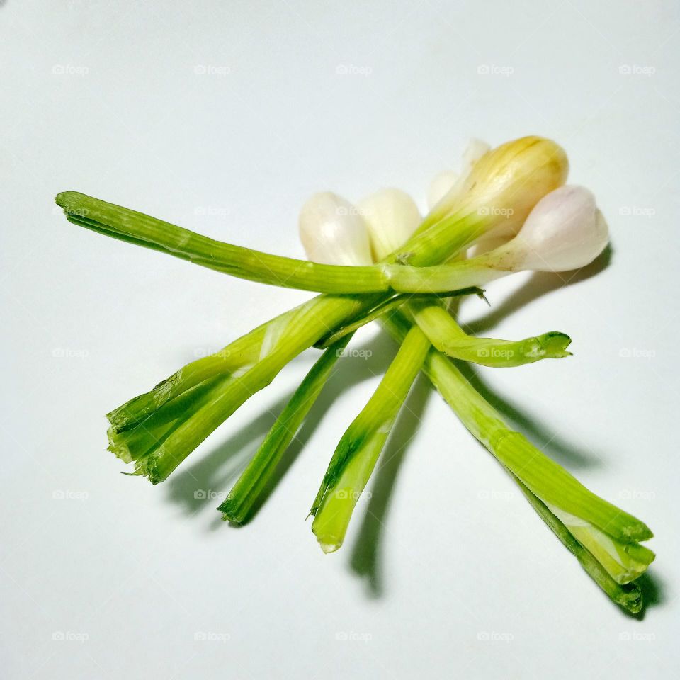 Fresh green onion on the table