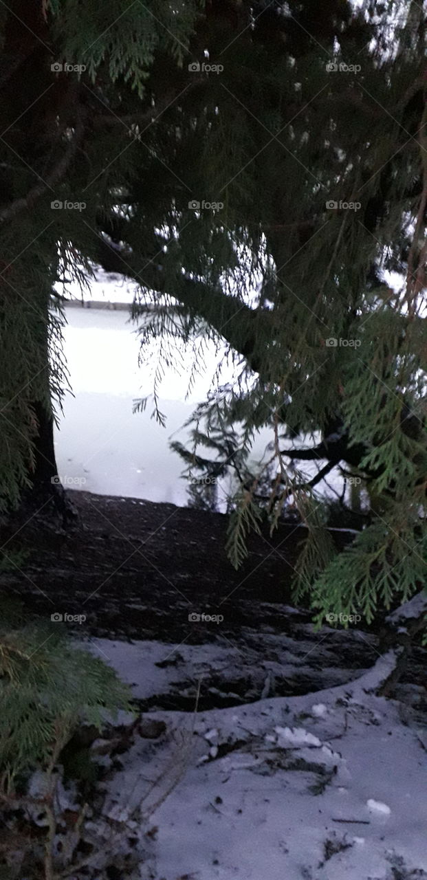 Parc Barbieux à Roubaix