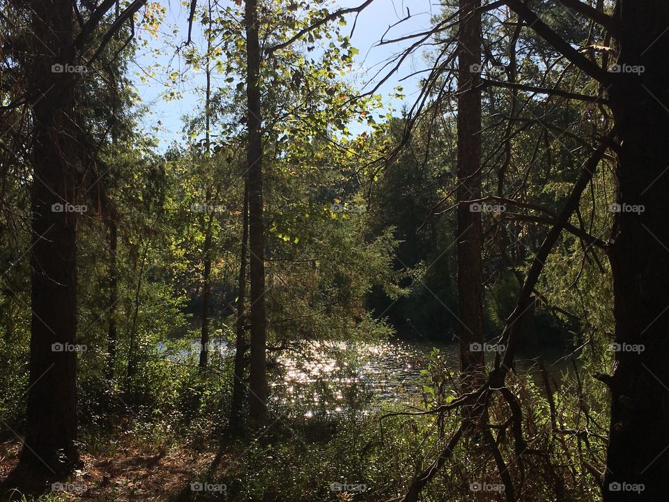 Came across a lake on my hike