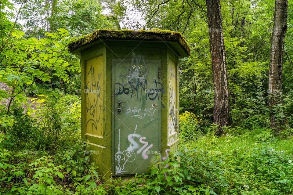 Green forest. Oslo, Norway. 