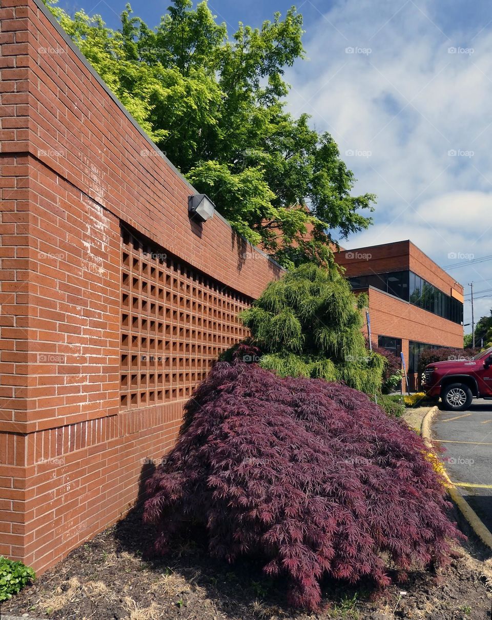 plants at the building