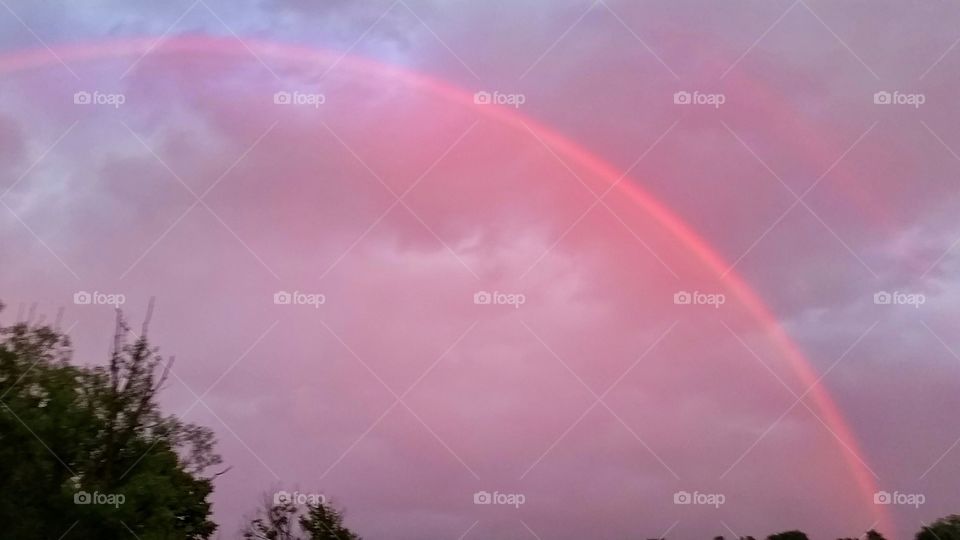 unusual pink rainbow
