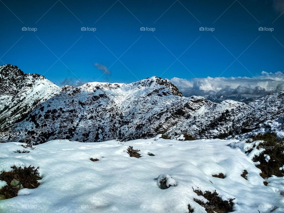 beautiful snowy area.