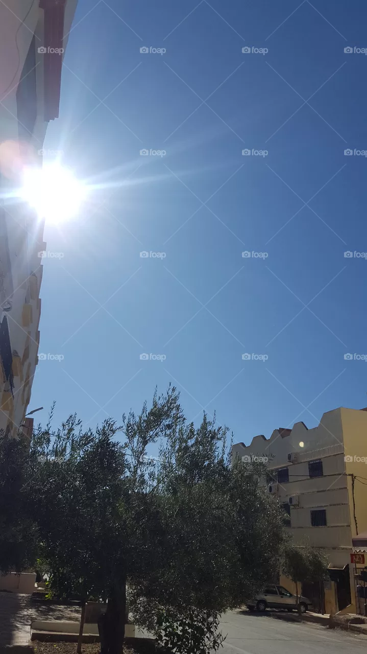 sun