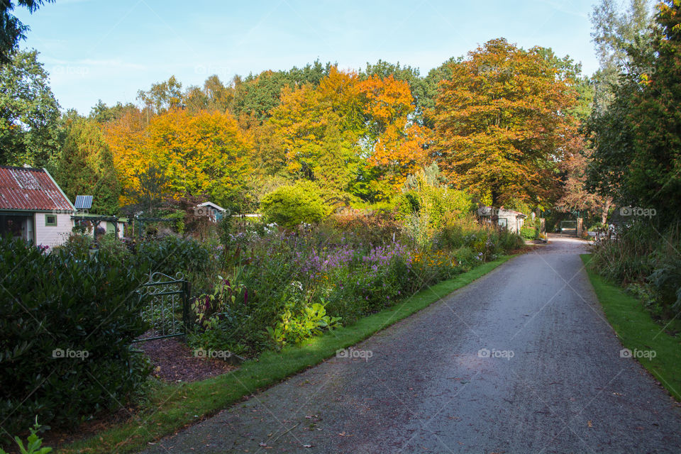 Pathway in a small village