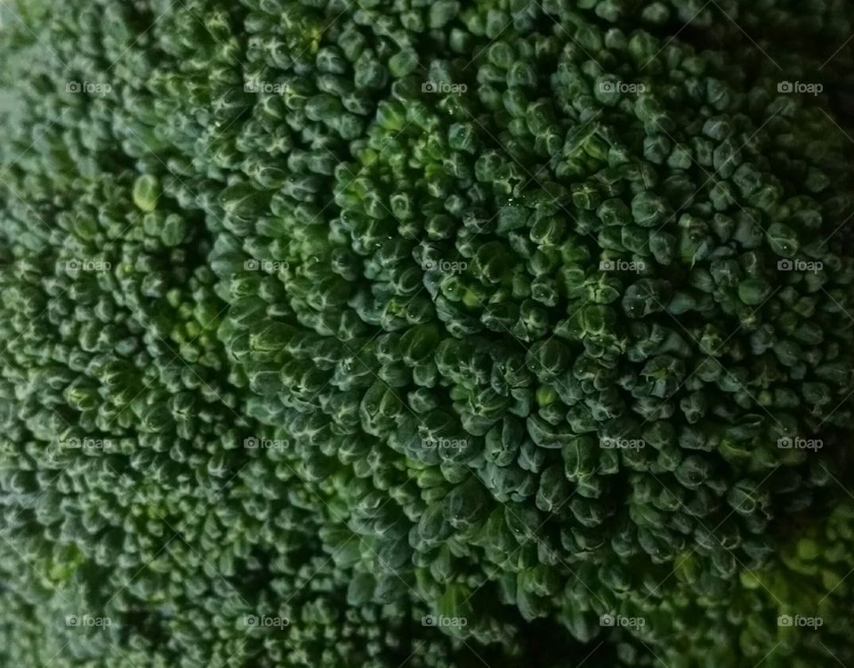 Broccoli closeup