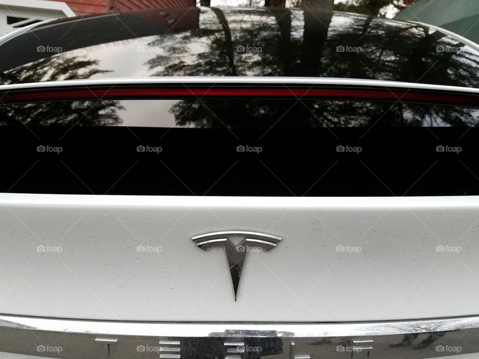 TESLA photo taken from Rear.