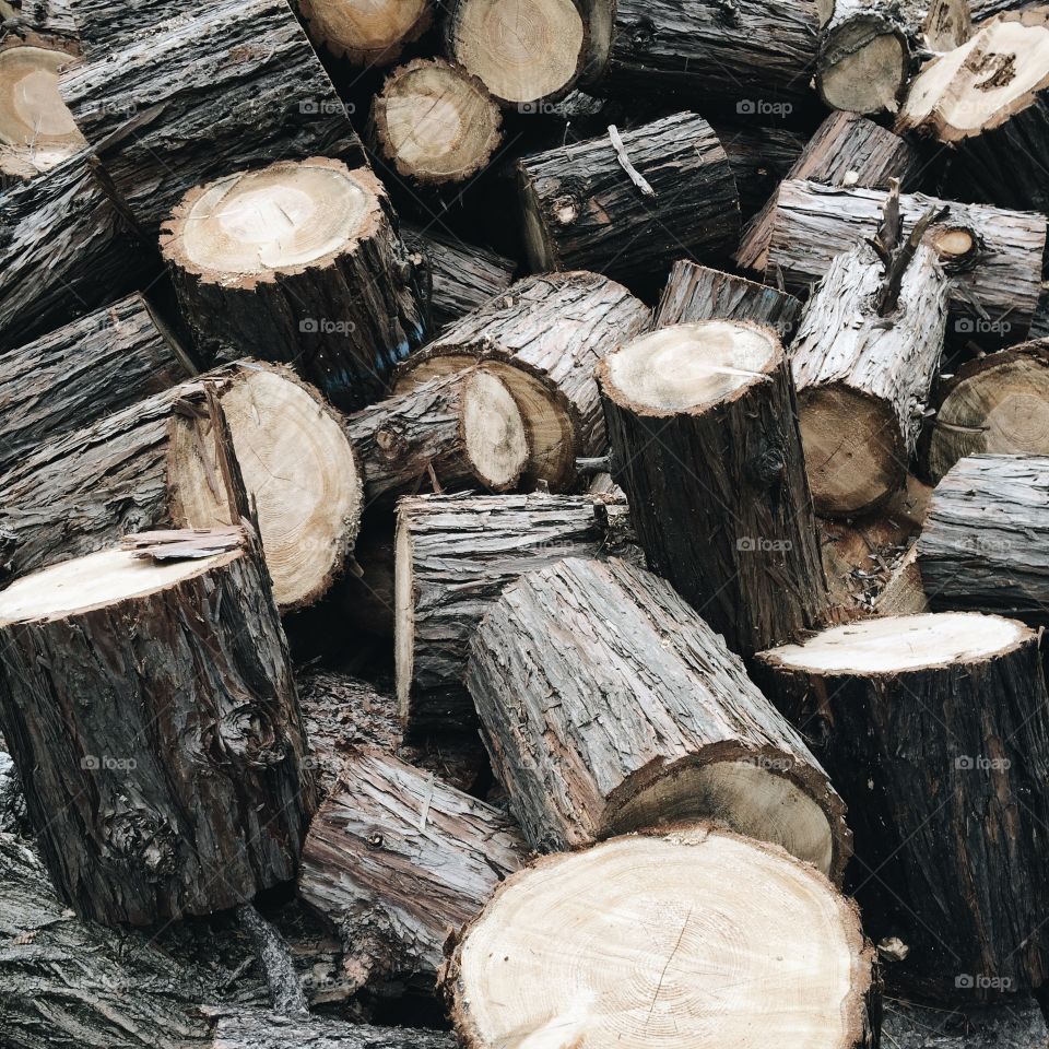 Tree Log, Wood, Firewood, Log, Woodpile