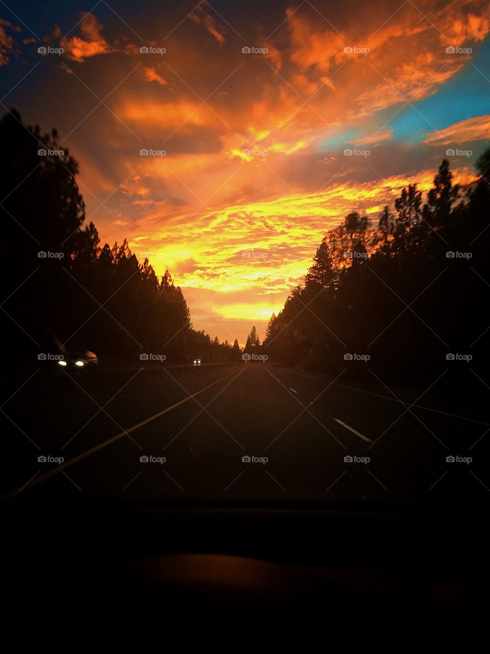 Sunset Driving