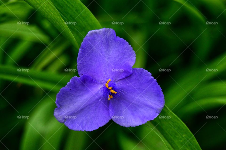 Summer is the most beautiful time of the year