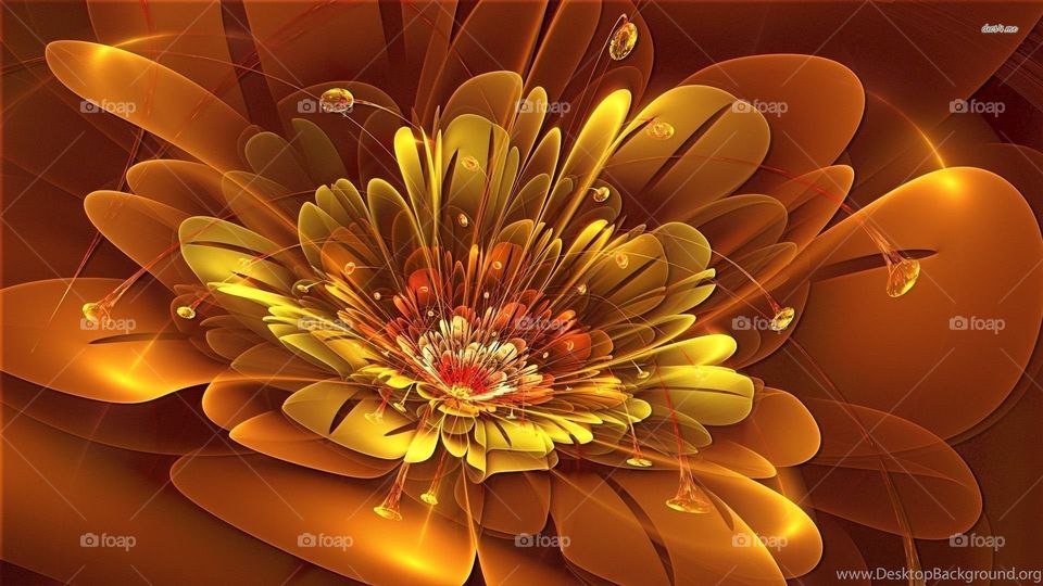 Astonishing Orange flower