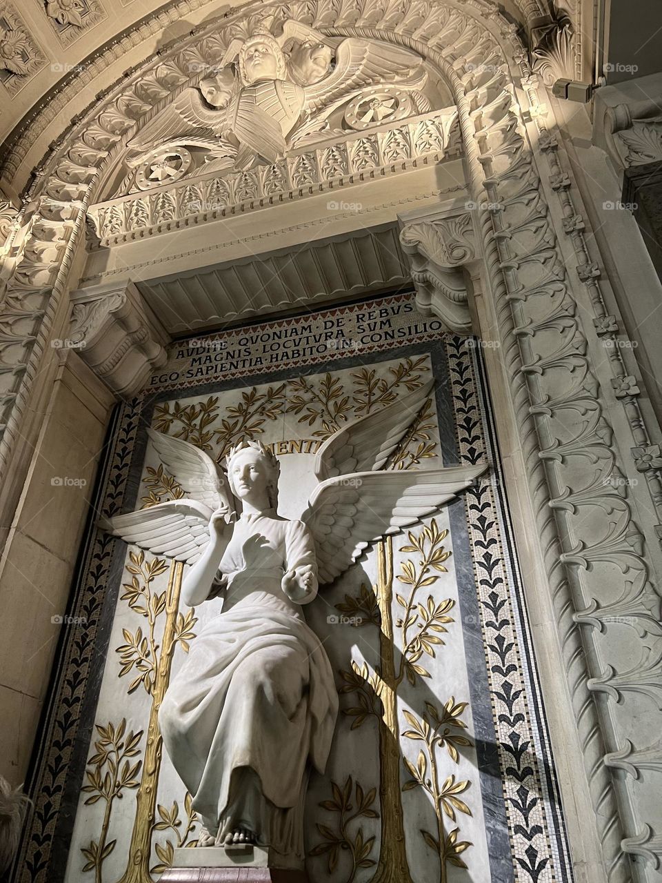 À la cathédrale de paris, lyon