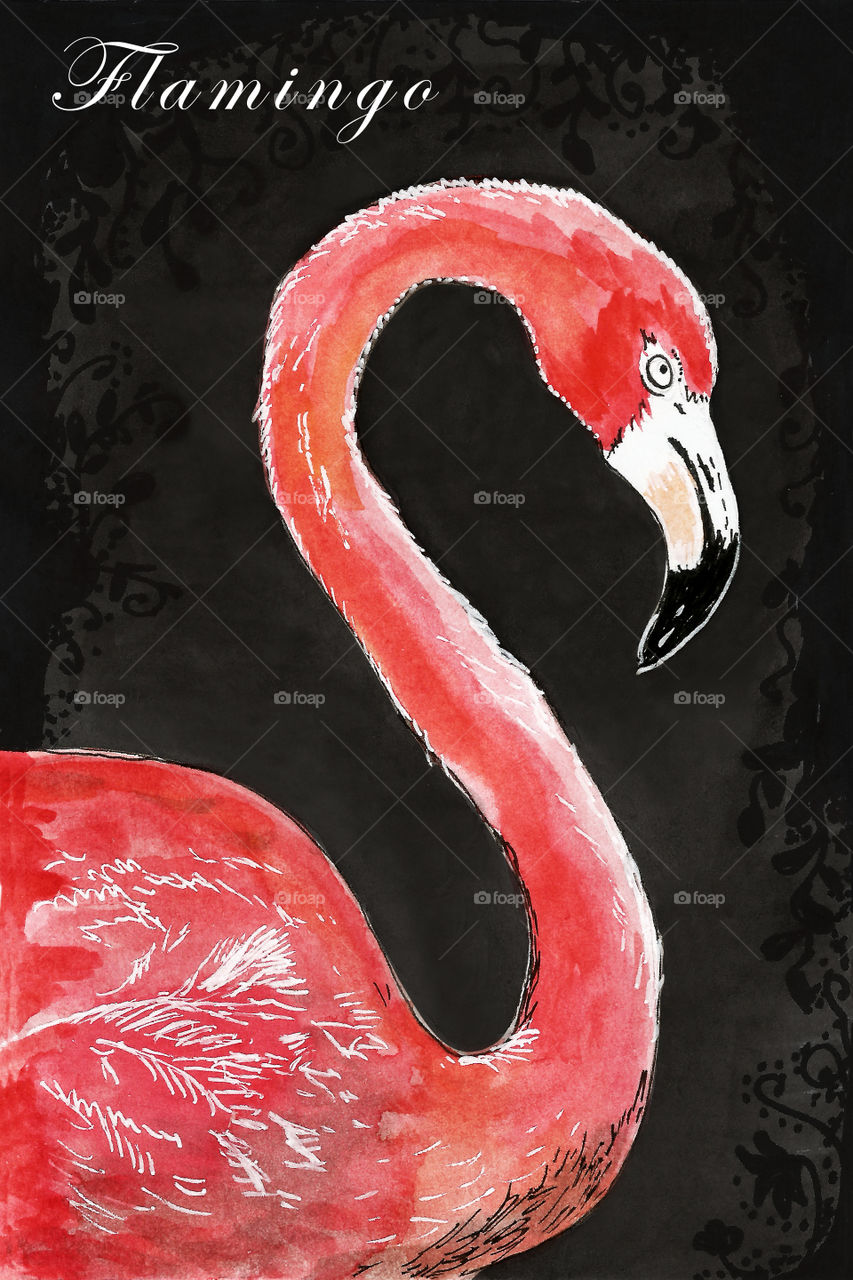 Drawing of flamingo 