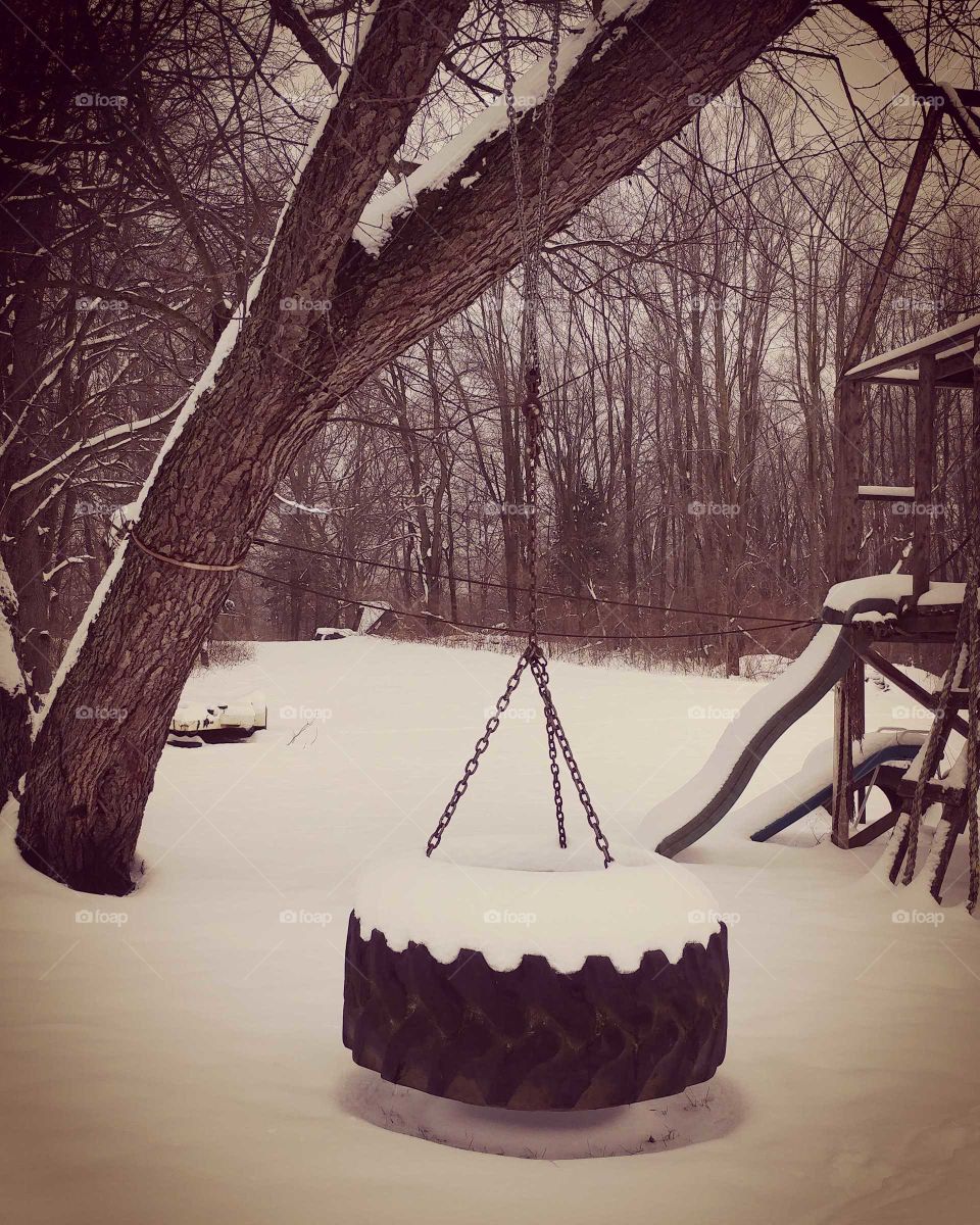 Snow, Winter, No Person, Wood, Tree