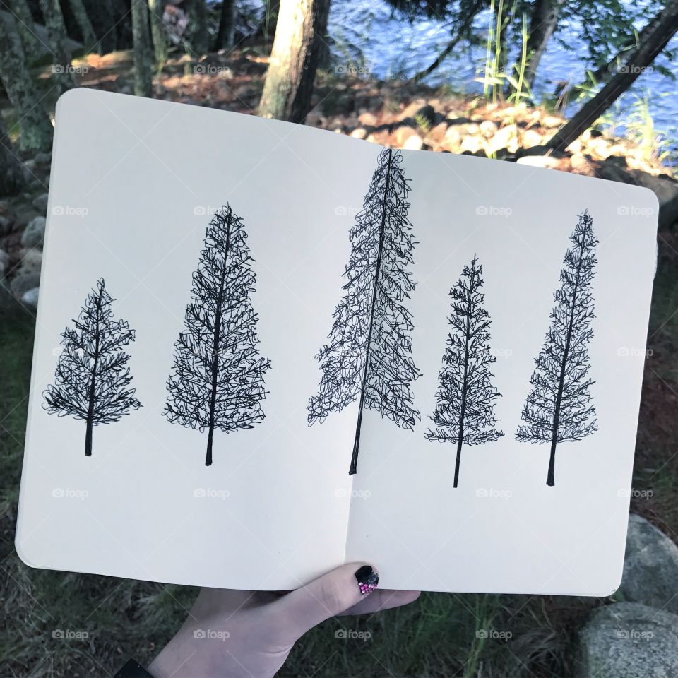 Drawing in the trees