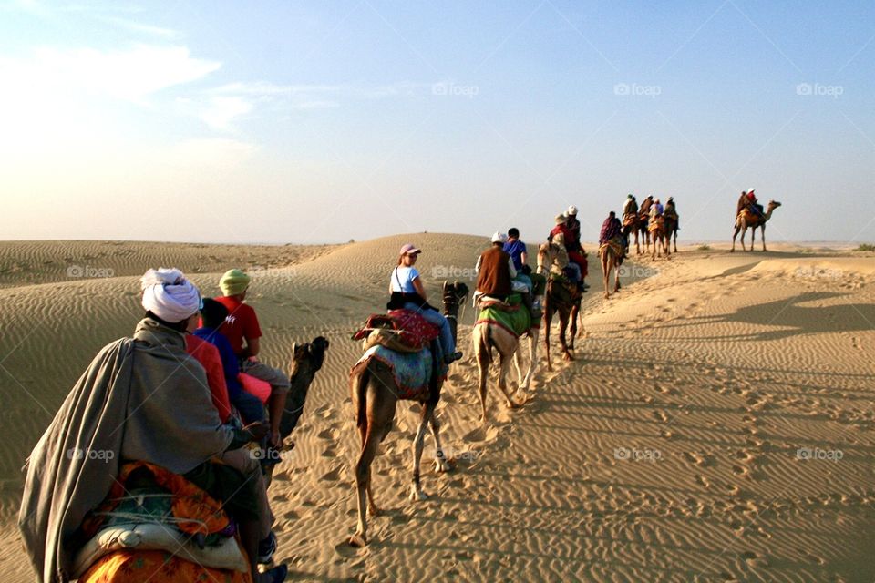 Riding camels through the desert