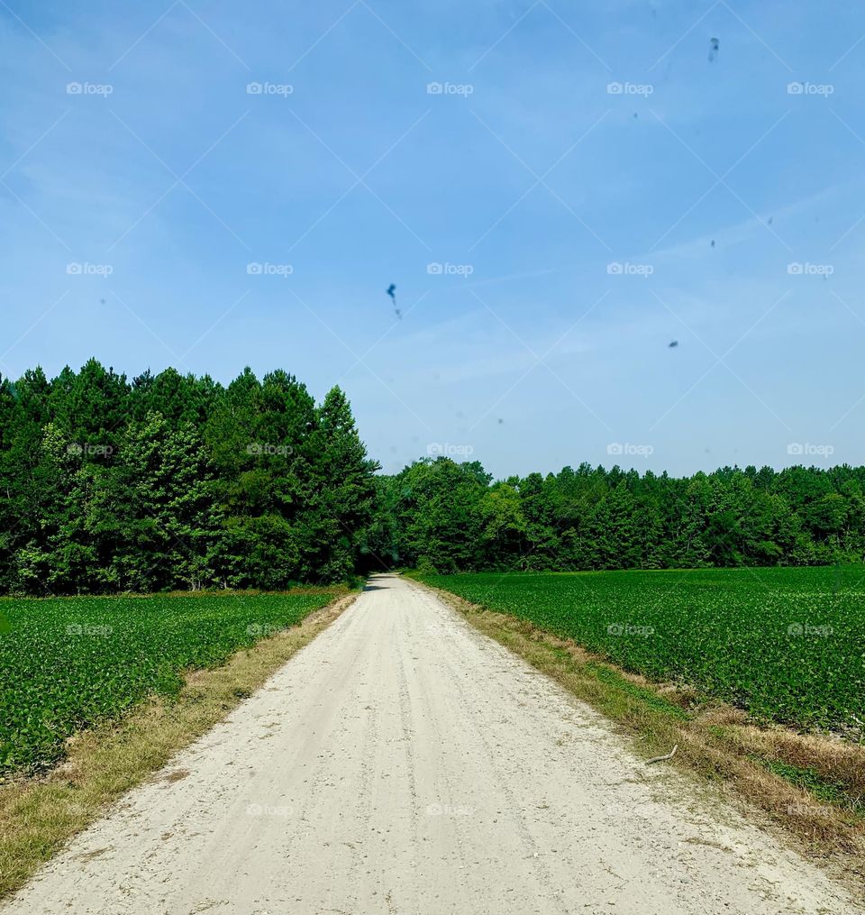 Gravel road 