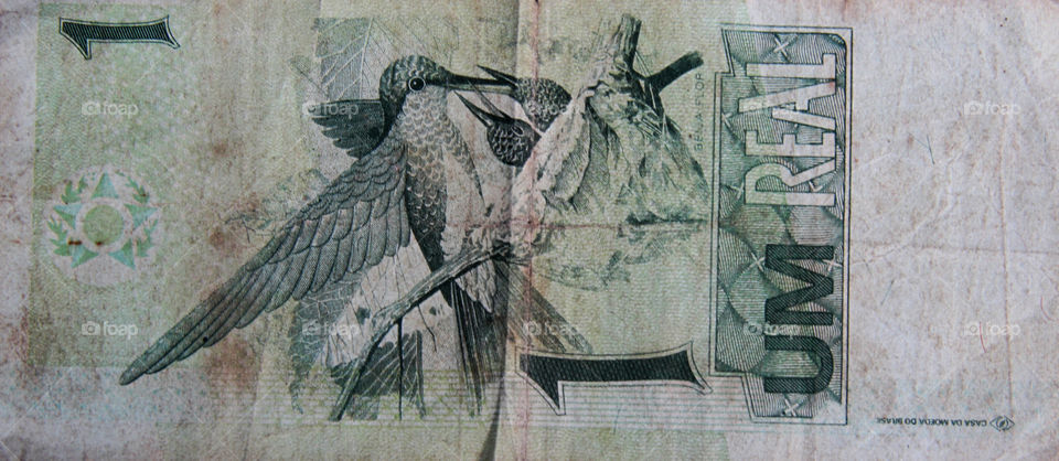 dinheiro do Brasil real