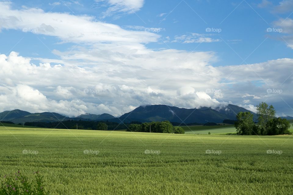 Fields and mountains. Slovakia