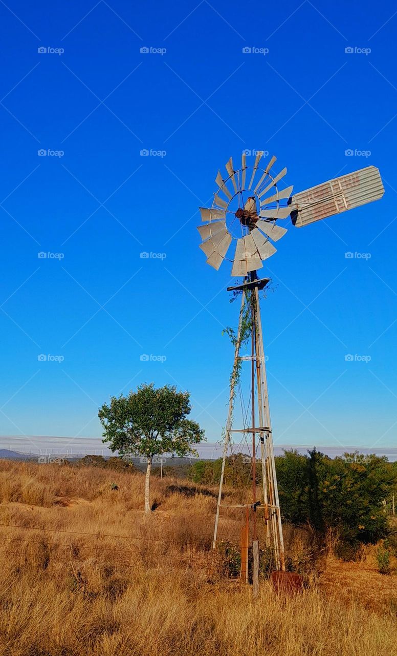 Windmill in Paddock with Blue Sky behind