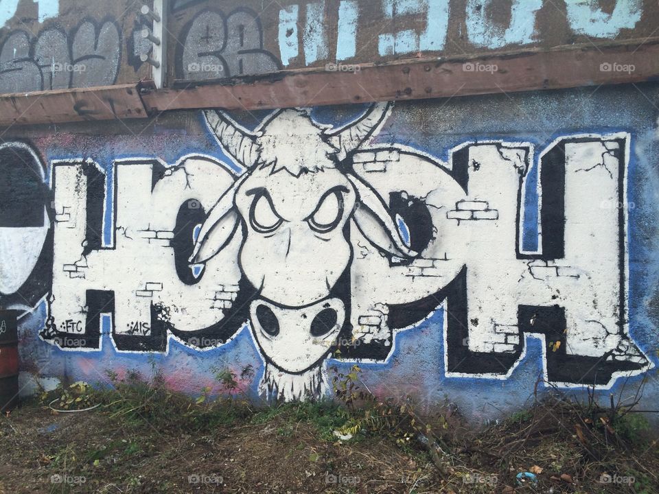 Hoph and the bull head graffiti on wall 