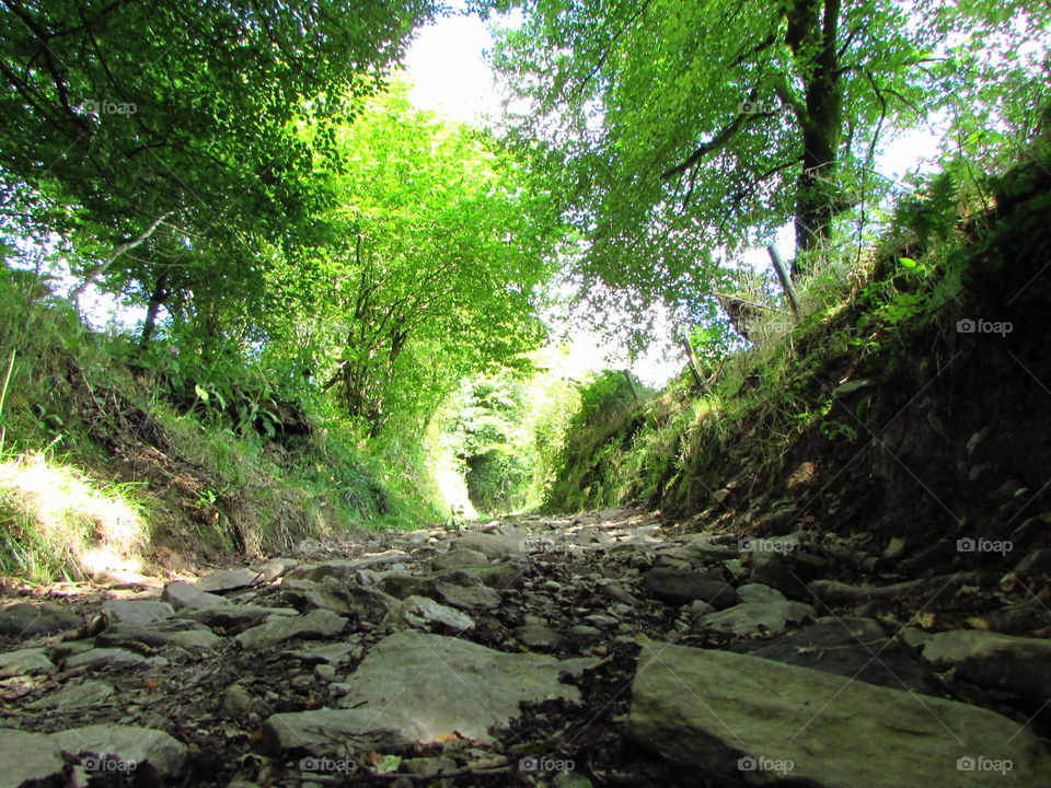 Stoney riverbed path