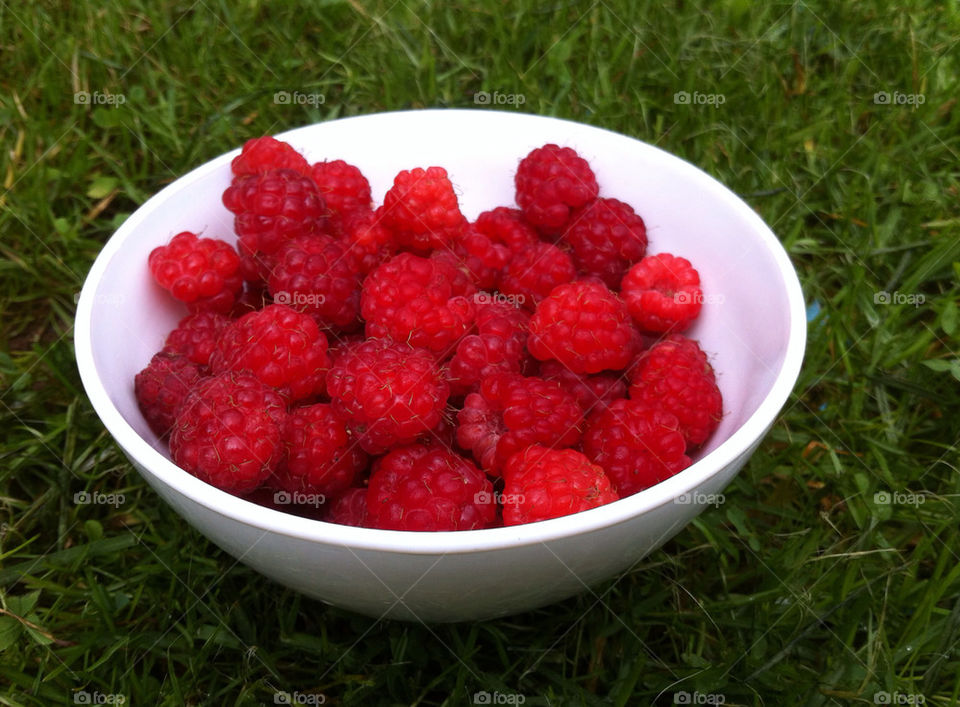 red summer bowl berries by blabitar