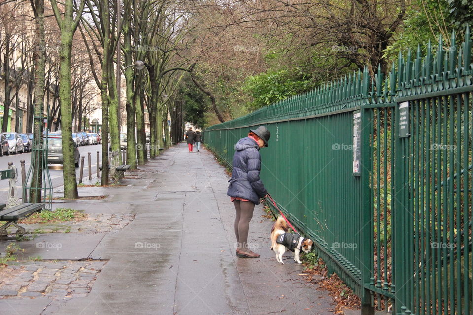 Woman walks with dogs in the park