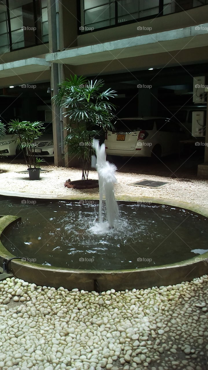 fountain pool