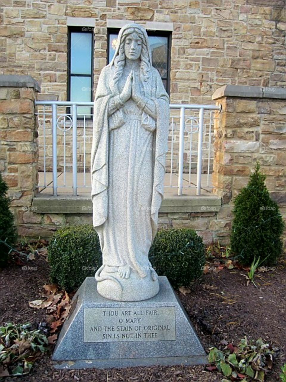 Immaculate conception