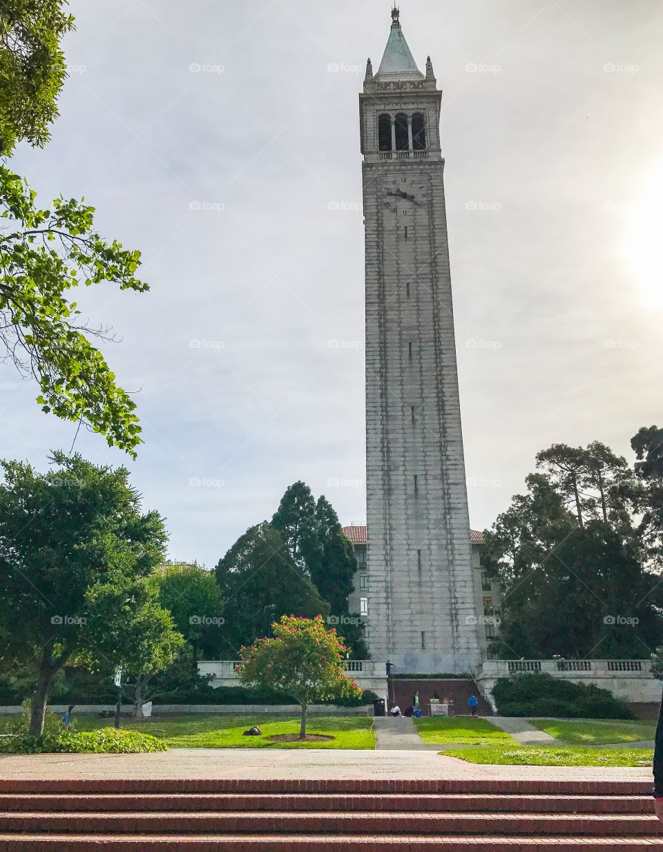 Berkeley Clock Tower 