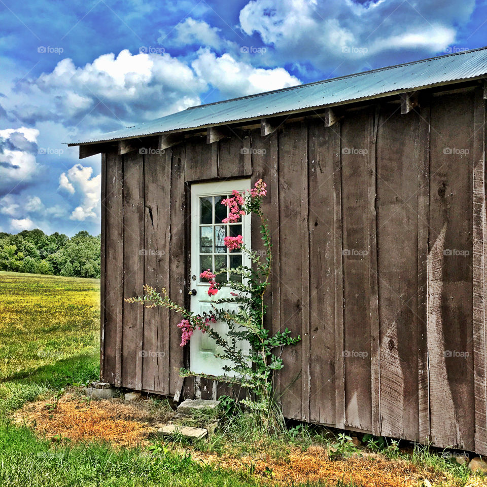 Country shed
