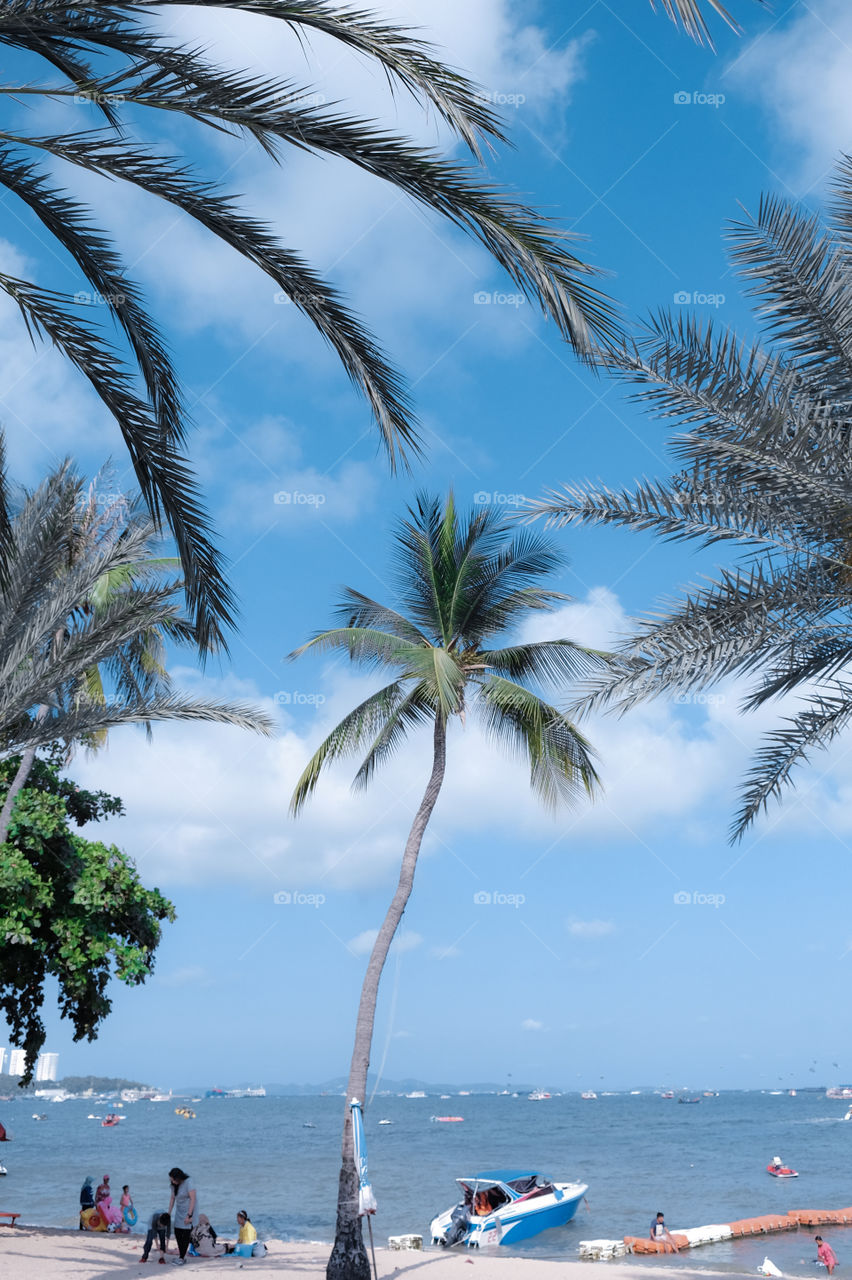 Lazy Day by the Beach