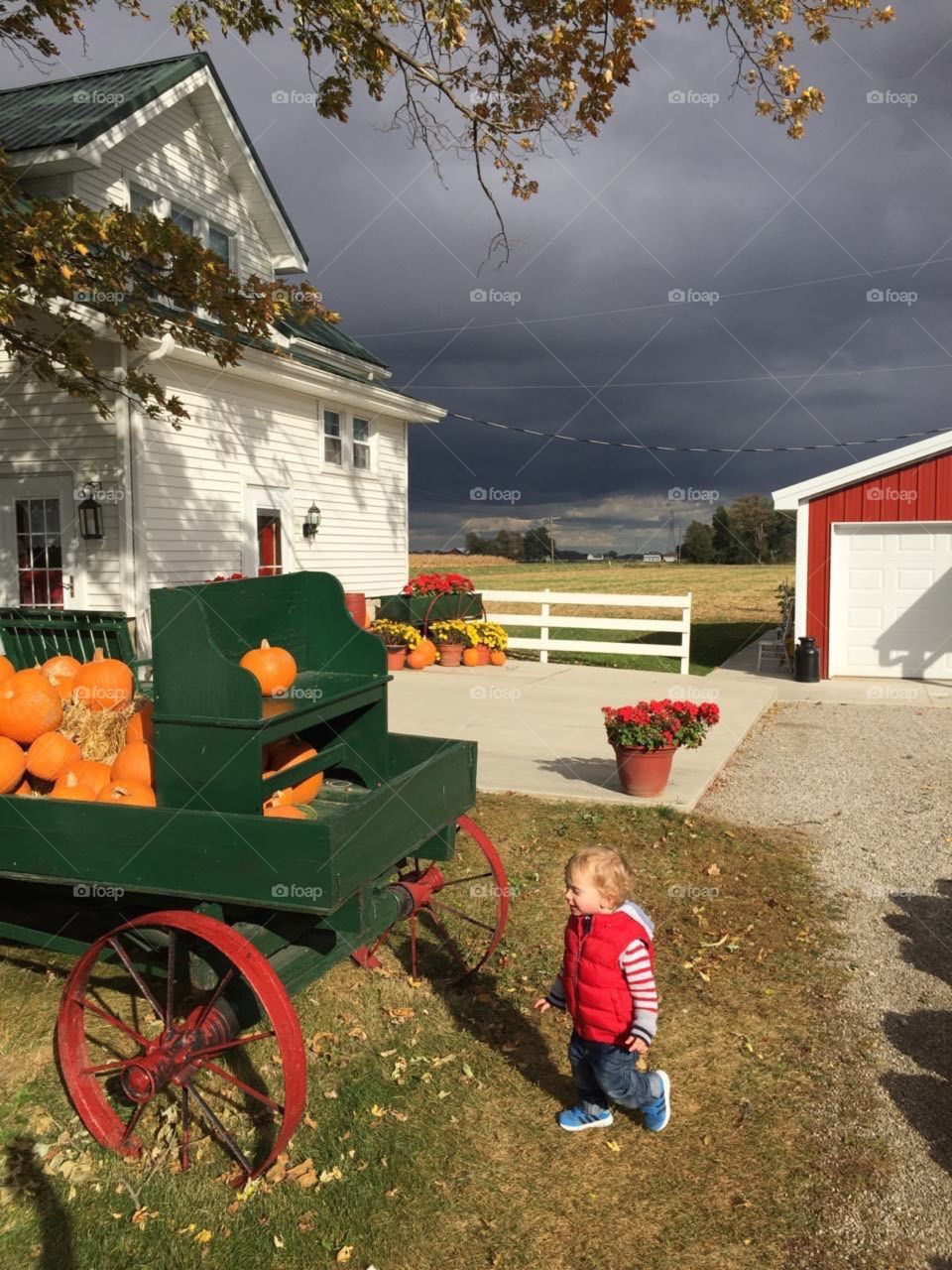 Pumpkin farm stormy weather 