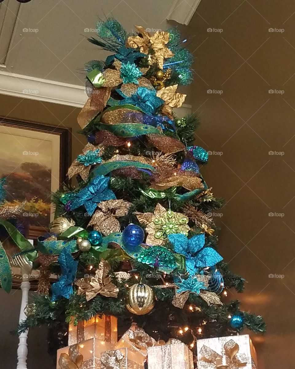Peacock tree
