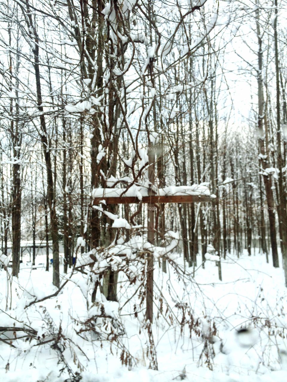 Cross in Snow
