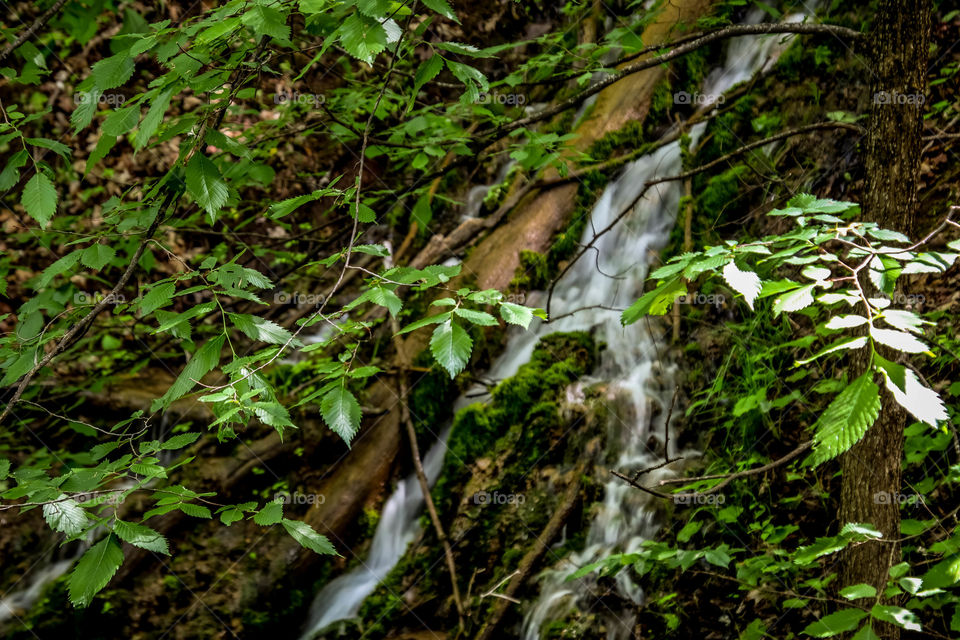 Waterfall in a forest