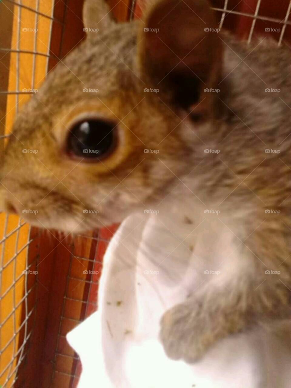 Hope looking outside at her future